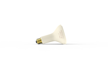 Ladda upp bild till gallerivisning, SES Keramisk IR-lampa ESER150 150W. Dim: Ø95x140mm