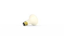 Ladda upp bild till gallerivisning, SES Keramisk IR-lampa ESES100 100W. Dim: Ø80x110mm
