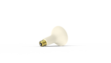 Ladda upp bild till gallerivisning, SES Keramisk IR-lampa ESER150 150W. Dim:  Ø95x140mm
